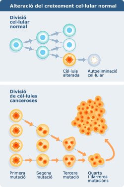 La bioinformàtica en la lluita contra el càncer