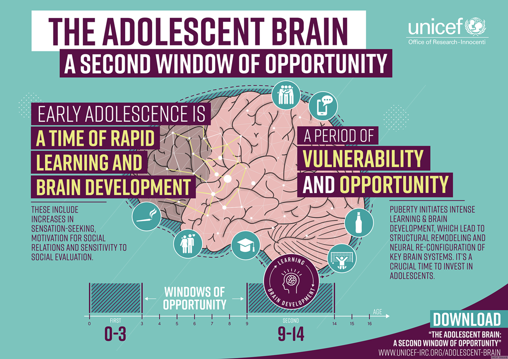 Setmana del cervell 2020: ¿Qué pasa en tu cerebro cuando eres adolescente?