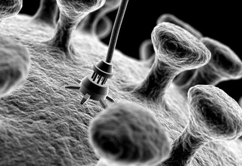Nanotecnologia aplicada a la biomedicina : els virus